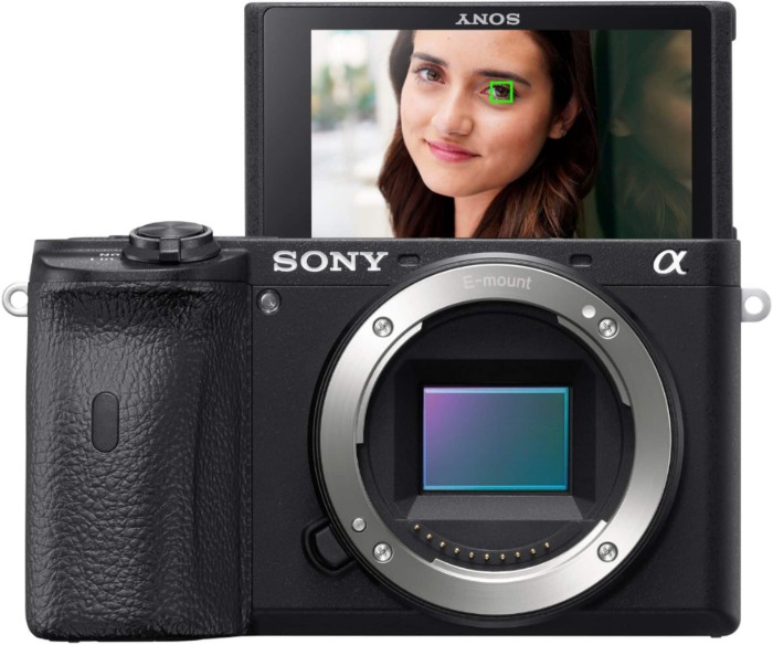 Picture of Sony Alpha 6600 APS-C Mirrorless 4K Video Camera (Body Only) – Black (Brand New)