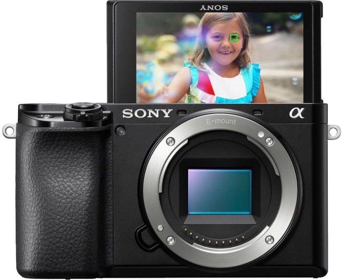 Picture of Sony Alpha 6100 24.2MP APS-C Mirrorless Camera (Body Only) – Black (Brand New)