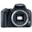 Picture of Canon EOS Rebel SL2 24.2MP APS-C DSLR Camera (Body Only) – Black (Brand New)