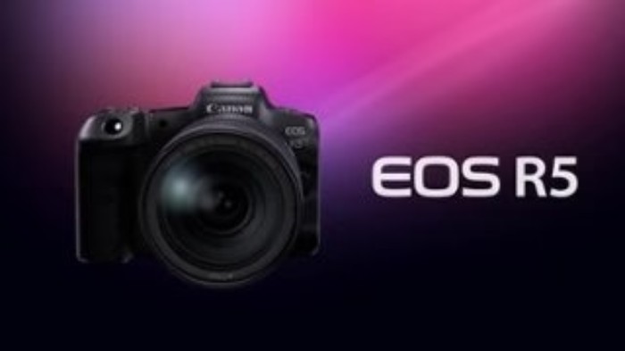 Picture of Canon EOS R5 Mirrorless Camera (Body Only) – Black (Brand New)