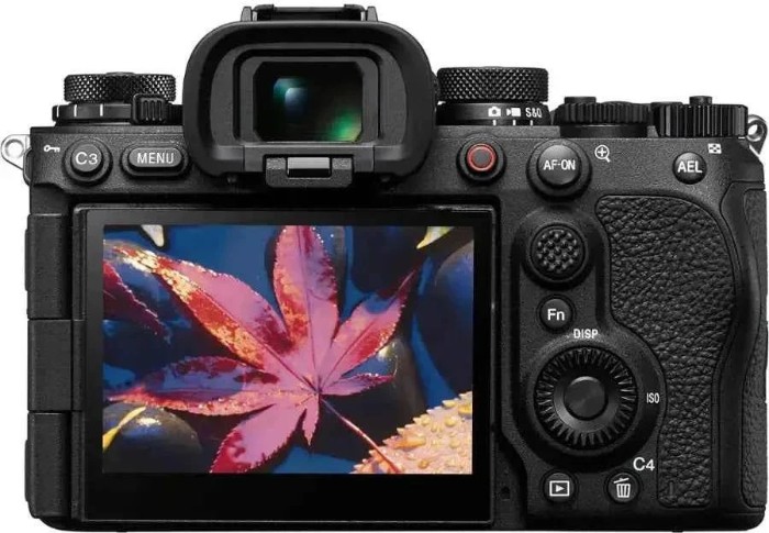 Picture of Sony α1 II 50.1MP Flagship Full-Frame Mirrorless Camera Body - Black
